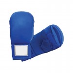 Karate Mitt