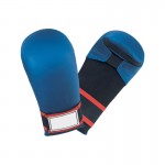 Karate Mitt